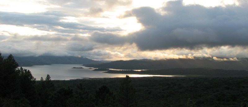 Looking to the Promise