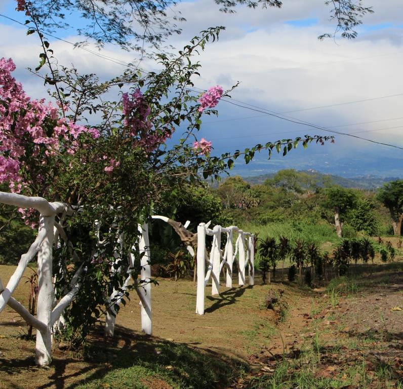 2013-11-30 Christmas Program 081 crop cdoc
