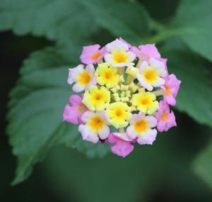 2013-12-26 La Paz w GmaGpa 046 crop cdoc