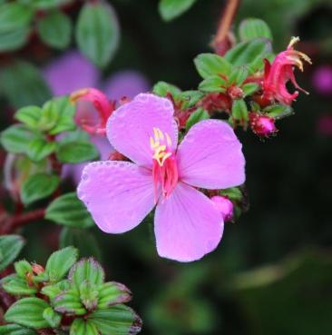 2016_01_07_0017 cdoc