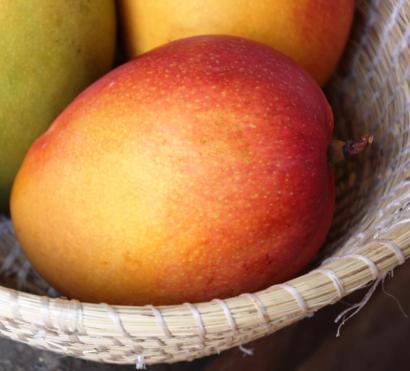 20180508 IMG_9147 edit cdoc